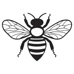 Fototapeta premium bee, insect, animal, vector, transparent background, creature, apis, nature, isolated, cute