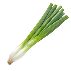 Fresh green onions with roots