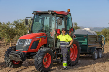 Farmer operating a red tractor with a trailer in an olive grove under a clear blue sky