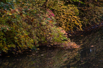 Magical autumn landscapes with colorful foliage, forest paths and golden light

