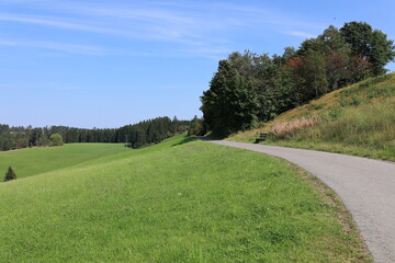 Obraz premium Schöner Sommertag auf der Wilden Wiese bei Sundern im Sauerland 