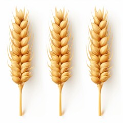 Wheat icon, rye ears sign, barley emblem, oats, cereals symbol, wheat ear, seeds, corns set