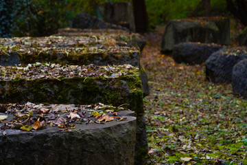 Magical autumn landscapes with colorful foliage, forest paths and golden light

