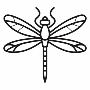 recommend clip art: Dragonfly outline icon on white background