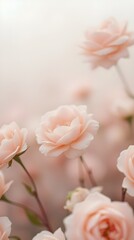 Obraz premium pink roses on a green background