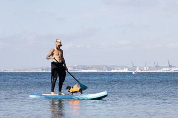 Man paddle surfing with a dog wearing swim dog trunks.