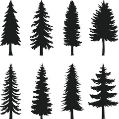 Obraz premium Set of Pine Tree Silhouettes – Evergreen Forest Vector Collection