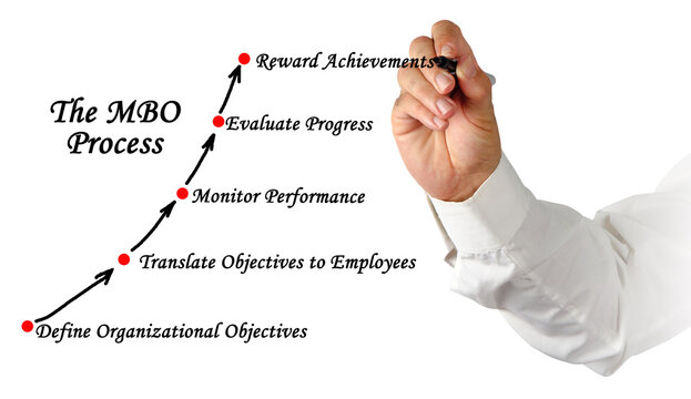Components of The MBO Process