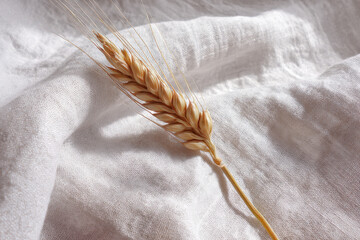 A single ear of barley rests diagonally on a soft, light textile, showcasing delicate grains and textures in a tranquil and serene composition