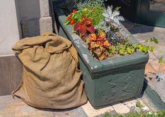 Half Full Jute Sack Potato Bag and Flower Plants Pot Outside Sunny Day