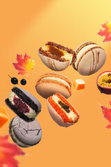 Enjoy FallInspired Macarons with Vibrant Colors Perfect for Autumn Festivities