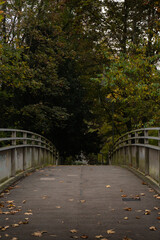 Obraz premium Magical autumn landscapes with colorful foliage, forest paths and golden light