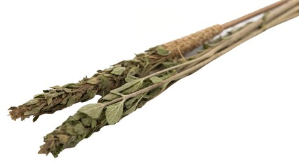 Dried Mexican Oregano Stems on White BackgroundDried Mexican Oregano Stems on White Background