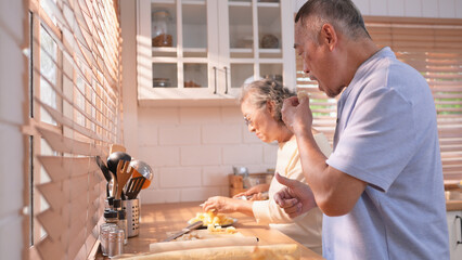 Happy Asian grandparents enjoying cooking the mealtime in the kitchen
