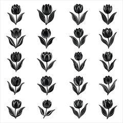 Tulip Flower 