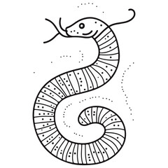 Fototapeta premium earthworm, insect, animal, vector, transparent background, organism, lumbricina, nature, pattern