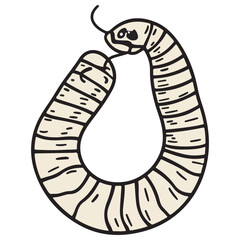 earthworm, insect, animal, vector, transparent background, organism, lumbricina, nature, pattern