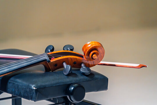 Cello scroll resting on a black stool stand