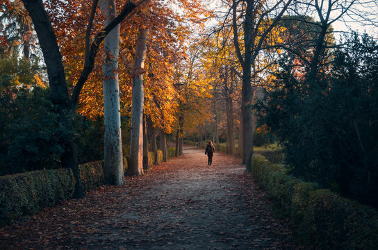 Woman strolling through autumn in Retiro Park, Madrid