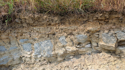 Green grass sprouting over layered soil and rock, exposing underground geological composition and...