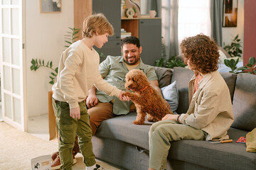 Caucasian boy greeting small dog while young Caucasian woman and young man of Middle Eastern...