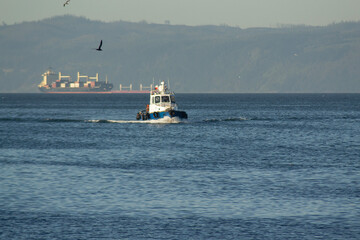 Industrial Strength: Tugboat Guiding Ships in Chilean Harbor