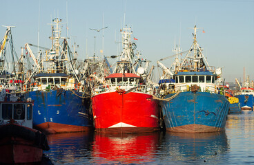 Colorful Fishing Boats Docked in a Chilean Harbor
