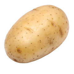 Freshly harvested potato isolated on black background demonstrating texture and detail