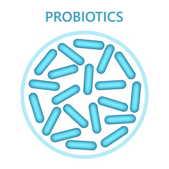 Probiotics, microbiome flora, lactobacillus bacteria in circle.