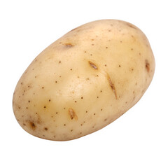 Fresh organic potato isolated on a black background presenting a common vegetable ingredient