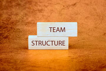Obraz premium The TEAM STRUCTURE concept phrase. Onboarding business process concept