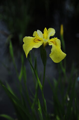 Rainy season Sexually transmitted diseases but Unknow