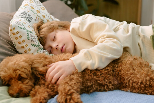 Caucasian child sleeping on bed while hugging small brown dog, showing gentle bond between young pet owner and first pet at home, peaceful moment of companionship and trust