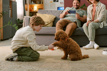 Caucasian child kneeling on carpet training small brown dog while his parents sitting on sofa...