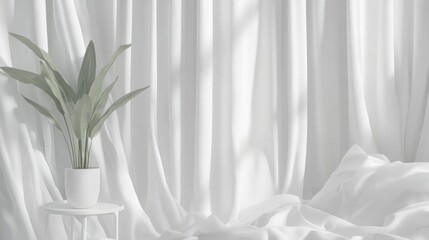 Soft white drapes with a potted plant.