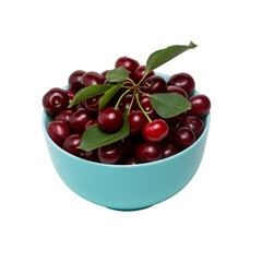 Ripe dark red cherries in blue bowl isolated on transparent background. Different angles. Place for design.  Close-up.