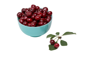 Ripe dark red cherries in blue bowl isolated on transparent background. Different angles. Place for design.  Close-up.