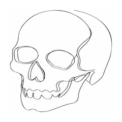 Minimalist line drawing of a human skull in black and white simple illustration