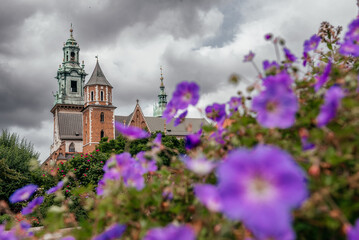 Enchanting View of Wawel Cathedral Through Purple Flowers