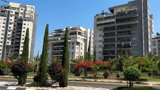Modern urban area, lots of greenery, flowering trees. White multi-storey buildings, contemporary architecture. Rent and sale of real estate. 