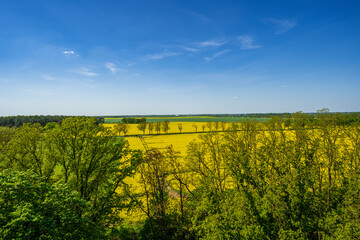 View from Hakenberg Victory Column, Fehrbellin, Brandenburg, Germany