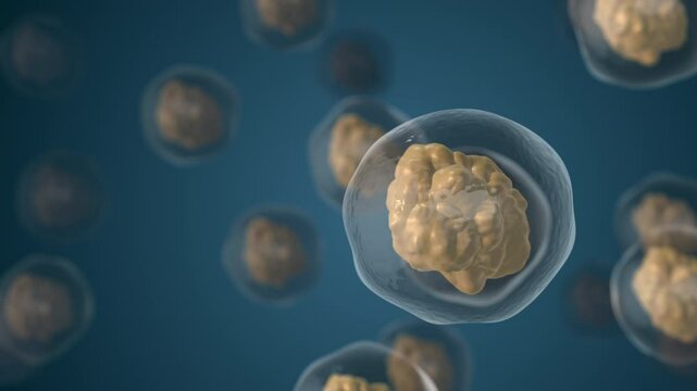 A microscopic closeup of bacteria or virus