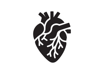 Anatomical Heart Silhouette Black Vector White Background