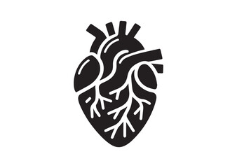 Anatomical Heart Silhouette Black Vector White Background