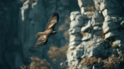 soaring golden eagle with spread wings, blurry mountain cliff background
