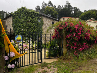 house with flower full garden and fence on the St. James Way pilgrimage along the road to santiago