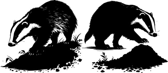 Striped European Badger Silhouette - Wild Woodland Animal © Rezowan 