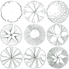 top view tree set, hand drawn sketch on white background. Tree plan © tanpimon