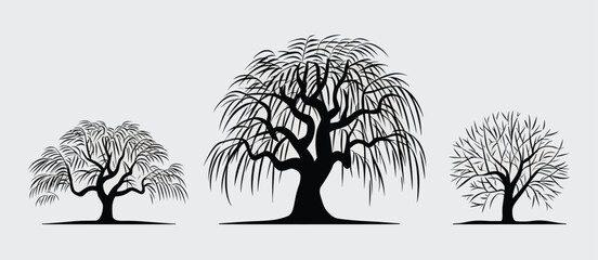 Three Black Silhouette Weeping Willow Trees of Varying Sizes