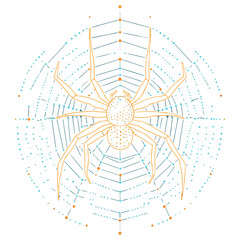 Obraz premium spider, insect, animal, vector, transparent background, creature, araneae, nature, isolated, arachnid, scary, creepy, long, danger, hairy, predator, icon, horror, wildlife